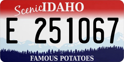 ID license plate E251067