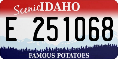 ID license plate E251068