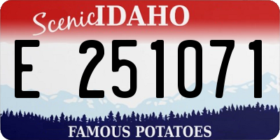 ID license plate E251071