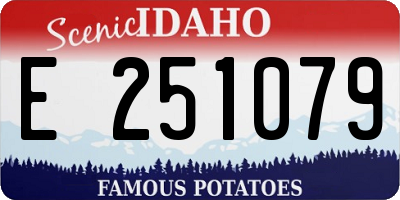 ID license plate E251079