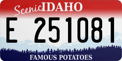 ID license plate E251081