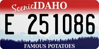 ID license plate E251086
