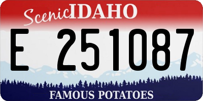 ID license plate E251087