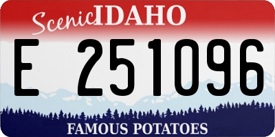 ID license plate E251096