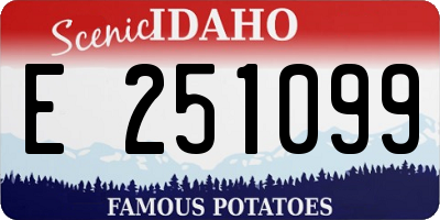 ID license plate E251099