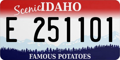 ID license plate E251101