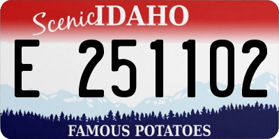 ID license plate E251102