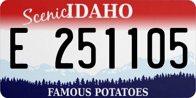 ID license plate E251105