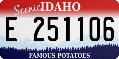 ID license plate E251106