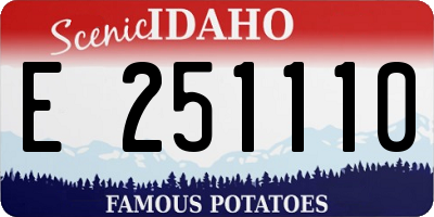 ID license plate E251110