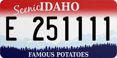 ID license plate E251111