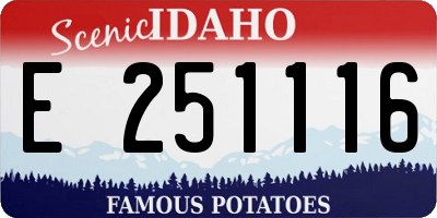 ID license plate E251116