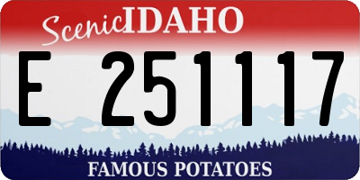 ID license plate E251117