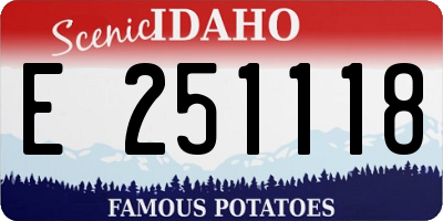 ID license plate E251118