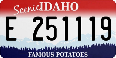 ID license plate E251119