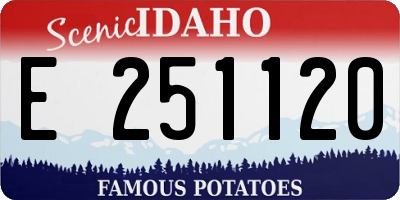 ID license plate E251120