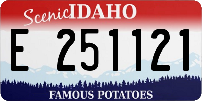 ID license plate E251121