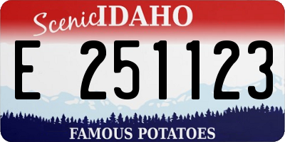 ID license plate E251123