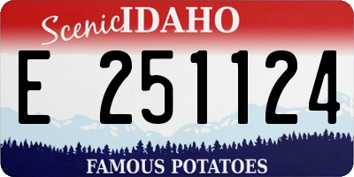 ID license plate E251124