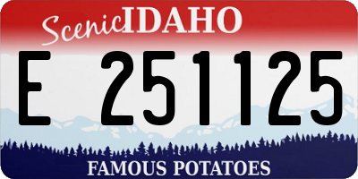 ID license plate E251125