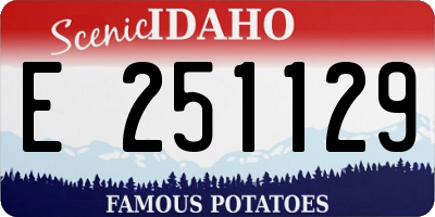 ID license plate E251129