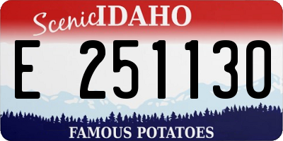 ID license plate E251130