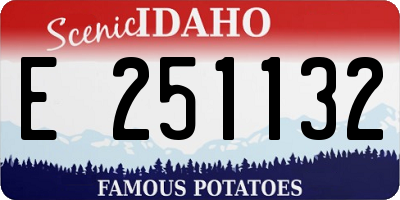 ID license plate E251132