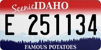 ID license plate E251134
