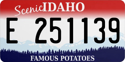 ID license plate E251139
