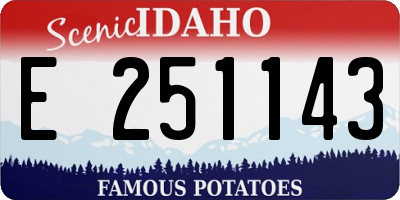 ID license plate E251143