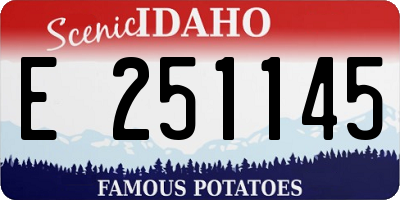 ID license plate E251145