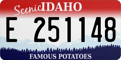 ID license plate E251148