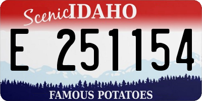 ID license plate E251154