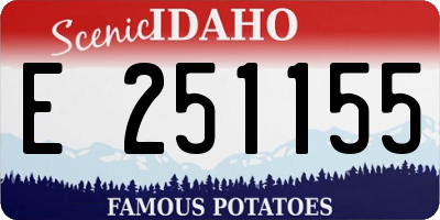 ID license plate E251155