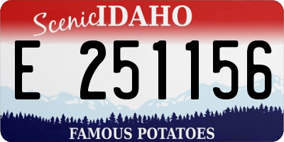 ID license plate E251156