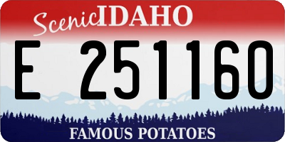 ID license plate E251160