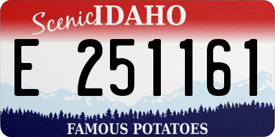 ID license plate E251161