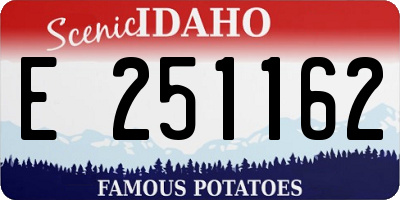 ID license plate E251162
