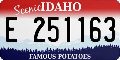 ID license plate E251163
