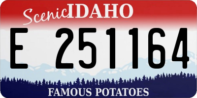 ID license plate E251164