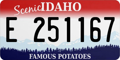 ID license plate E251167