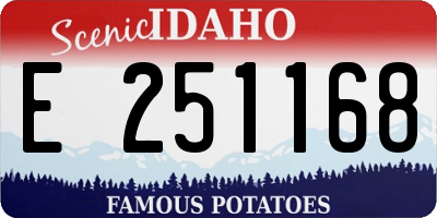 ID license plate E251168