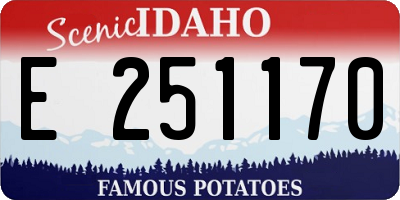 ID license plate E251170
