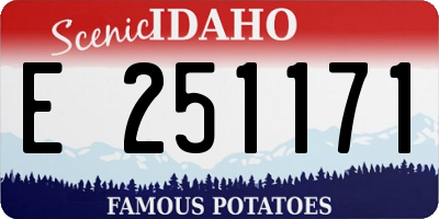 ID license plate E251171