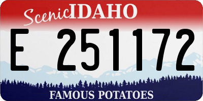 ID license plate E251172