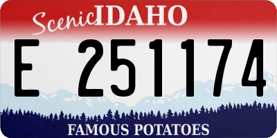 ID license plate E251174