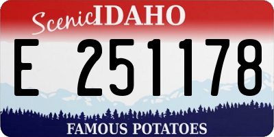ID license plate E251178