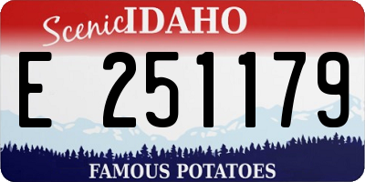 ID license plate E251179