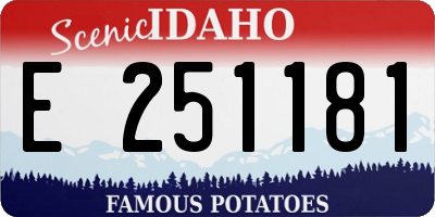 ID license plate E251181