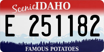 ID license plate E251182